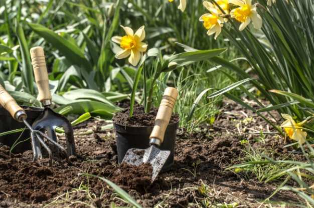 Plantation de fleurs printanières réalisée par Parant Xavier, paysagiste à Alvignac